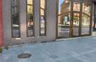Spatiu comercial de inchiriat in zona centrala - 1