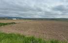 Vand teren extravilan 18.500 mp in Selimbar / jud. Sibiu - 3
