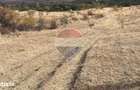 Teren 4000mp Padureni Ciurila in Arenda | Pachet 2 Loturi 7000 mp