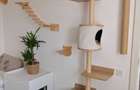 Inchiriere apartament zona Vivo, Floresti - 4