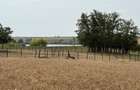 Teren intravilan Miersig, vedere la lac. 12,5 E/mp neg. Comision 0 - 3
