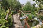 vind casa Walter Maracineanu - 9