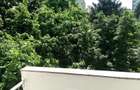 Proprietar- inchiriez apartament 2 camere in Gheorgheni, cu parcare, langa Iulius Mall - 1