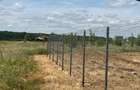 Vand Teren intravilan Branesti Str Violetelor 1036mp direct proprietar - 10