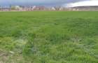 Vind teren intravilan - 3