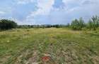 Teren intravilan in Banesti--3727mp--40e - 5