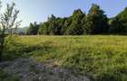 Loturi teren PUZ aprobat 2100/2500mp - Strada Cheia - vis a vis Camping Cheile Rasnoavei