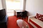 Apartament 3 camere în zona Nicolae Titulescu - 2