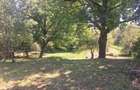 Teren intravilan de vanzare in ?aula (Nr. 88) 3.675 mp - 3