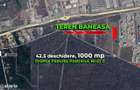 O pozitie rara Baneasa, teren 1.000 mp langa Greenfield, comision 0%
