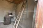 Casa cu anexe si 40 ari de gradina - 10