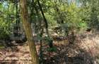 Teren 3000 mp - 1200 mp intravilan, zona Cuparu - Cuparu (Dambovita)