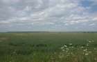 Teren extravilan 18.940 mp in Focsani, Soseaua Suraii, Onasis - 2