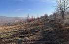 Teren Intravilan La Strada Principala - Barnova - 2