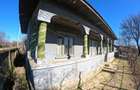 Teren 1000 mp sat BALANU JUD GIURGIU - 3