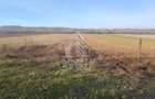 Teren agricol, Barsa, Eligibil pentru fonduri Europene - 4