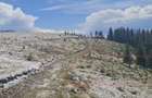 Teren intravilan Roman 2 loturi, 2.000 mp la 1.750 m, langa Refugiul Vf. Ursu - 3