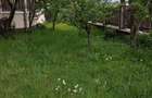 Casa de vanzare - municipiul Toplita, Judet Harghita - 10