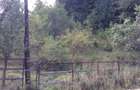 Teren de vinzare in Cheia(Olanesti) - 4