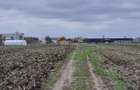 Teren vecinatate Therme,34500 euro - 12