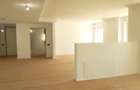 Reședință duplex exclusivistă, 3 camere, Băneasa - 6