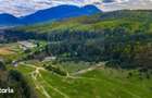 Teren intravilan de 1 ha cu vedere la munte Zarne?ti, Brebina - 2