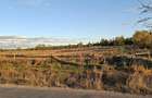 TEREN INTRAVILAN LA 2 KM DE PRIMARIA Campulung Muscel * 5000 MP Intravilan * Stradal * Accept schimb