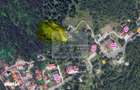 Proprietar vand 7059 mp in Predeal- str. Schiorilor/Cioplea