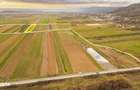 Teren agricol pe Valea Dambovitei la Manesti 4322 mp - 7