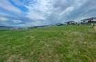 Teren intravilan 5.800 mp de vânzare – Corusu- ideal pentru investi - 7
