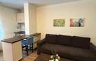 De inchiriat Apartament 2 amere, zona Cetate Lidl Bloc Nou. - 2
