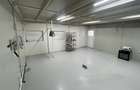Spatiu comercial de inchiriat - 5