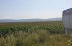 Teren intravilan 9500 mp, DN 2 BLACK SEA, Bacau - 2