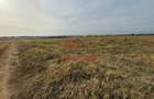 Teren intravilan in Baicoi zona targului--10.000mp--5e - 7