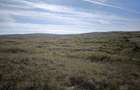 Teren agricol 25.400 m.p. Craciunelu de Jos | Blaj | un singur lot