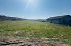 Teren Intravilan 1000 mp Dealuri - Oradea - 2