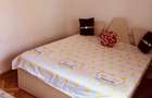 apartament la timisoara de inchiriat - 4