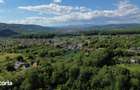 Casa de vanzare in natura la tara - Mihaesti - 10