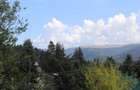 Teren Sinaia - Furnica - 4
