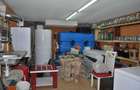 Vila P+2 - 580 MP - 11 camere - Matei Voievod - 19