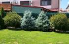 Direct proprietar | Trend Residence | Renovat 2025 | Curte 125mp | Fotovoltaice