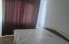 DRISTOR(METROU)-stradal-6/10-decomandat-600euro - 8