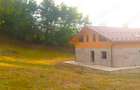 Casa langa padure, in zona verde ?i lini?tita Iedera de Sus (Moreni), Dambovi?a - 3