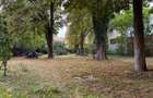 Apartament 2 camere in cladire interbelica, Centru, 52 mp - 6