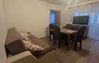 Apartament cu 2 camere, central, renovat, mobilat, parter, 50 mp utili - 8