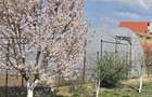 Casa renovata in Nadlac 3 camere spa?ioase, teren 908 mp, livada cu pomi fructiferi
