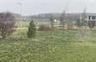 Teren premium langa Buftea, utilita?i complete, cu acces la un parc 7000mp, acces rapid A0 - 4