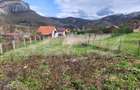Casa individuala,65 mp,1150 mp teren,Valisoara - 11
