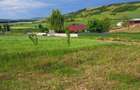 2900m2 teren intravilan in comuna Ion Creanga jud Neamt - 2