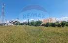 Teren intravilan 11.500?mp Strada Cismari Valenii ... - 9